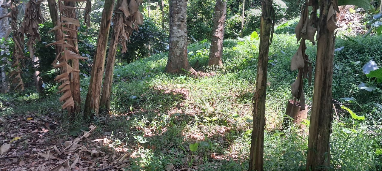 *Prime Land for Sale in Kandy-1