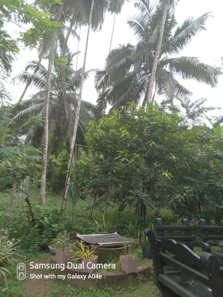 Land for sale with House in Madola-4