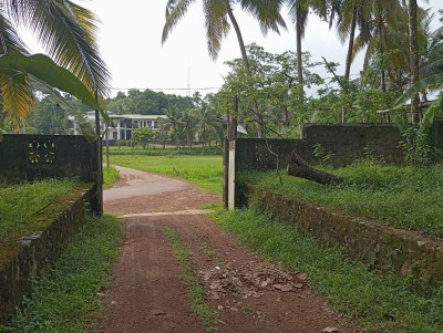 Massive land for sale in Homagama-4