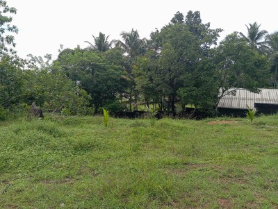 Massive land for sale in Homagama-3