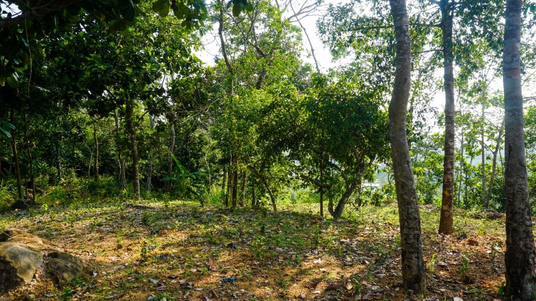 Developed land for sale in Galle-3