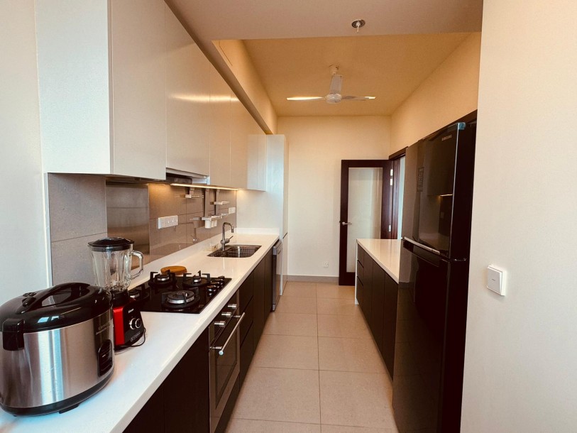 2 Bedroom Luxury Apartment for rent in The Suites at Cinnamon Life.-12