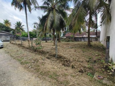 2 Adjacent lands for Sale in Thalawathugoda- 14.7 perches-2