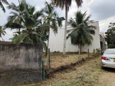 2 Adjacent lands for Sale in Thalawathugoda- 14.7 perches