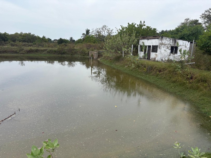 Commercial Land for sale in Chilaw-5