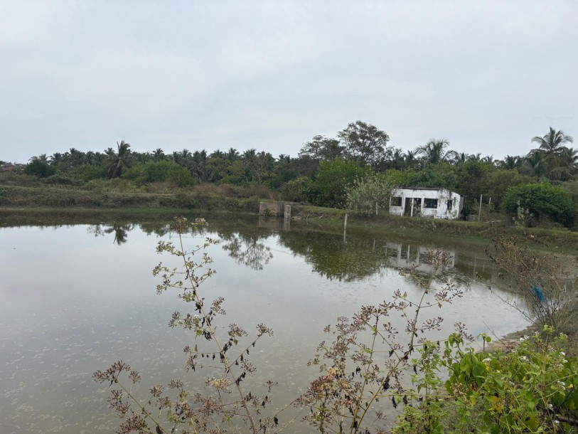 Commercial Land for sale in Chilaw-2