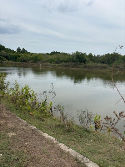 Commercial Land for sale in Chilaw