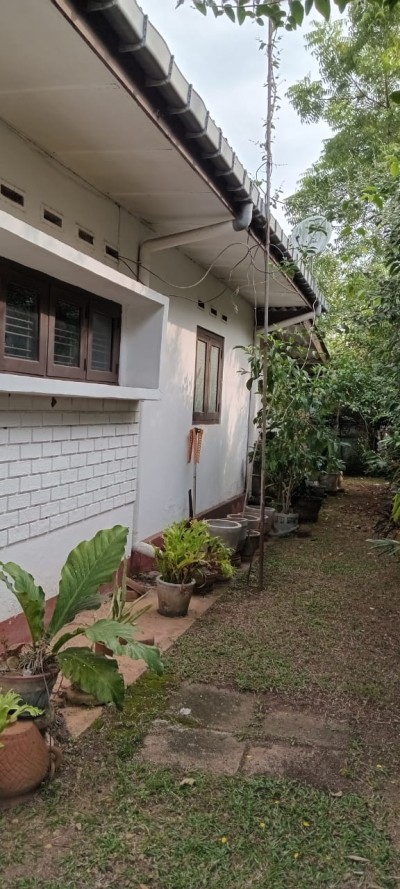 House For Sale in Borupana  Road Rathmalana-3