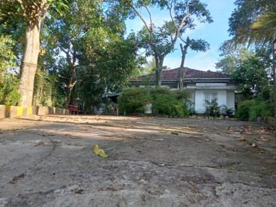 Bungalow for Sale in Panadura for land value - 50 perches-5