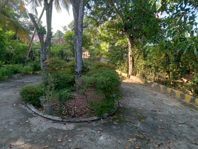 Bungalow for Sale in Panadura for land value - 50 perches-3