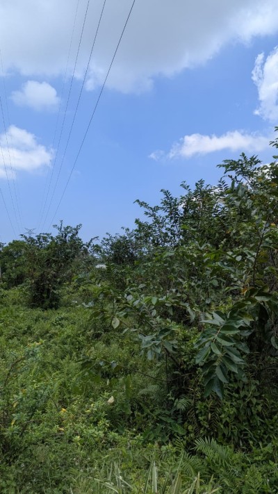 Massive Land for Sale in Galle-4