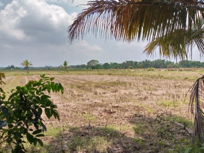 Land for Sale in Gampaha-2
