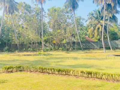 Land for sale in Kochchikade-5