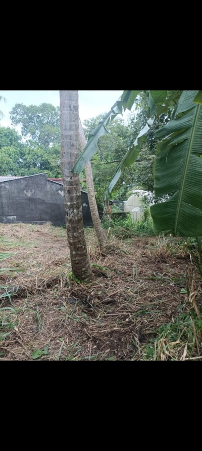 Land For Sale in Piliyandala-2