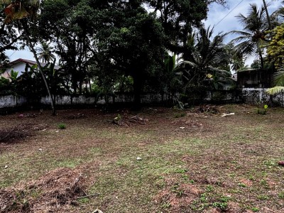 Land for Sale in Makola