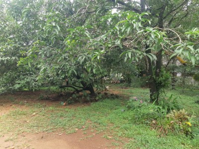 Spacious 6-Room House for Sale in Dompe-7