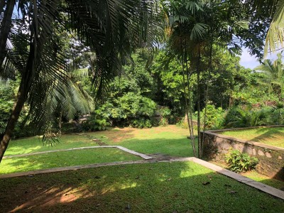 Charming 4 Bedroom House for Rent in Akuregoda with Garden & Paddy Field Views | USD 3,250 🌾-13