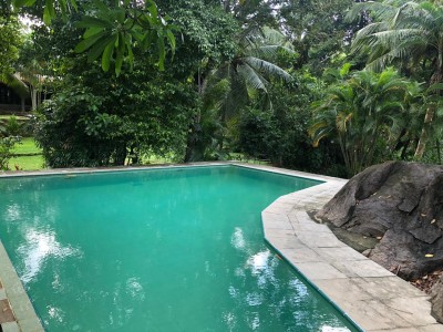 Charming 4 Bedroom House for Rent in Akuregoda with Garden & Paddy Field Views | USD 3,250 🌾-7