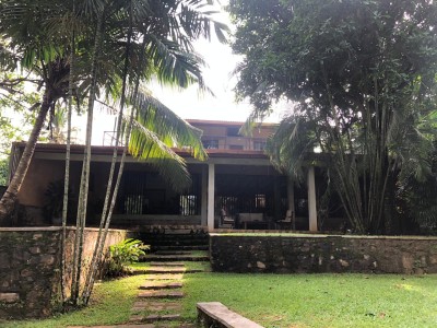 Charming 4 Bedroom House for Rent in Akuregoda with Garden & Paddy Field Views | USD 3,250 🌾