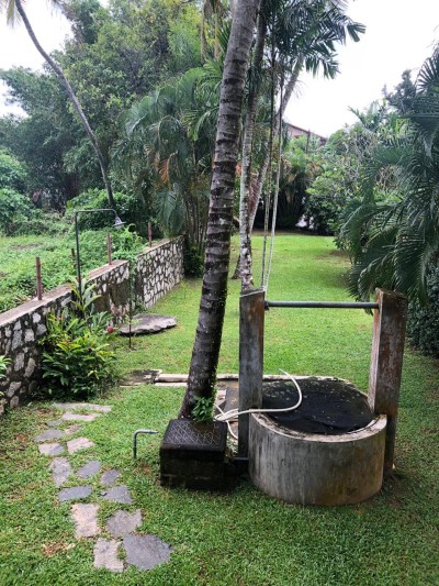 Charming 4 Bedroom House for Rent in Akuregoda with Garden & Paddy Field Views | USD 3,250 🌾-12