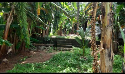 Commercial Building for Sale in Panadura-3