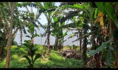 Commercial Building for Sale in Panadura-2