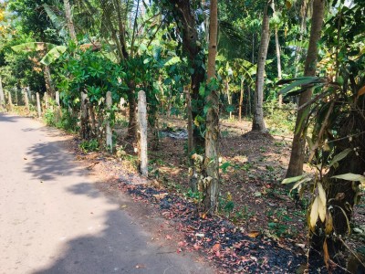 Land For Sale in Jaela