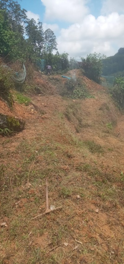 Bare Land for Sale – Nanuoya/Nuwara Eliya-5