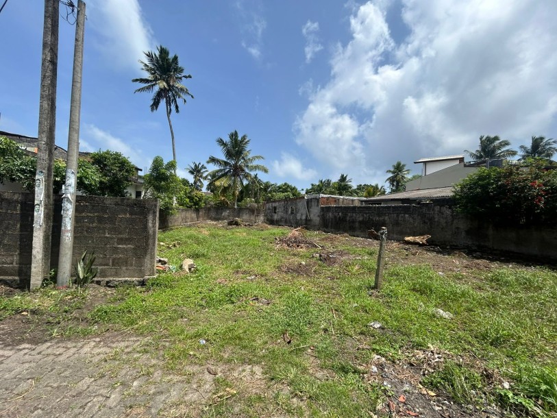 Bare Land for Sale in Moratuwa-1