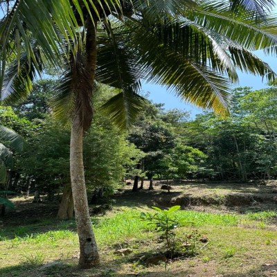 Land for Sale in Unawatuna-5