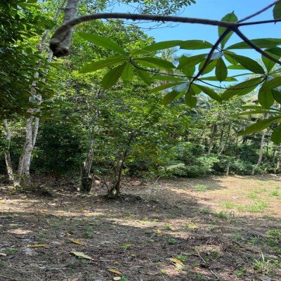 Land for Sale in Unawatuna-3