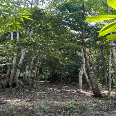 Land for Sale in Unawatuna-2