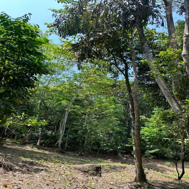 Land for Sale in Unawatuna-1