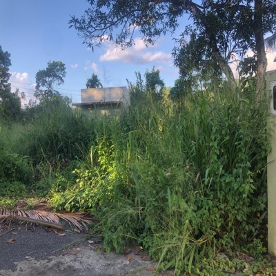 📍 Location: , Kandy, Kiribathkumbura