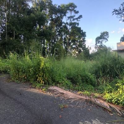 📍 Location: , Kandy, Kiribathkumbura-6