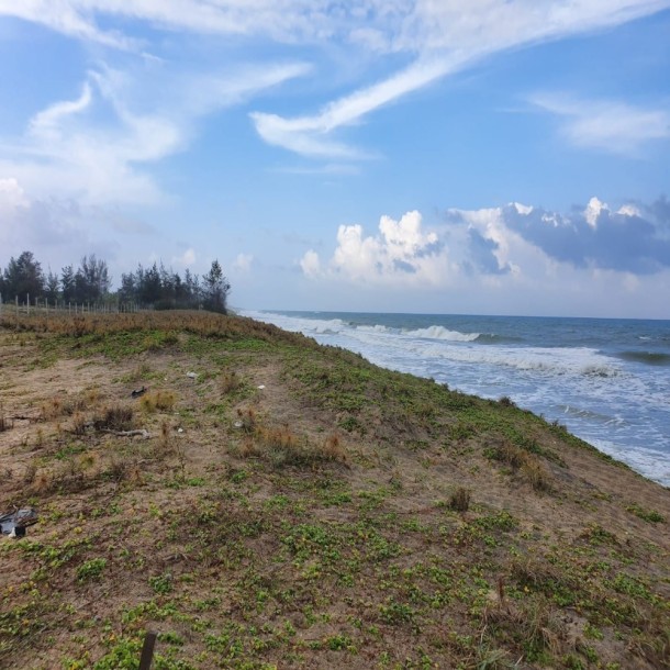 Massive Land for Sale in Arugambay-1