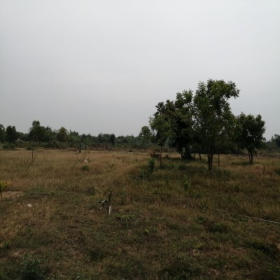 Massive Land for Sale in Arugambay-5