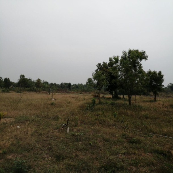 Massive Land for Sale in Arugambay-5