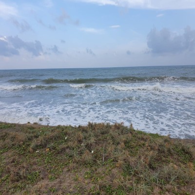 Massive Land for Sale in Arugambay-4
