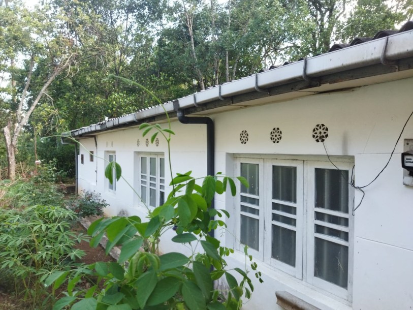 House for Sale in Welimada-1