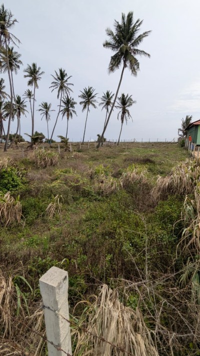 Sea view land Plot for Sale in Negambo lagoon Road