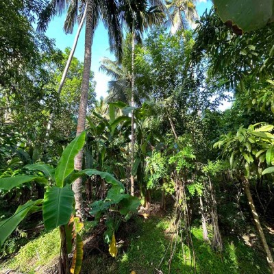 Land for Sale in Talpe-4