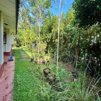 Land for Sale in Talpe-5