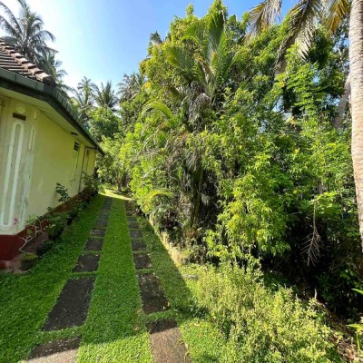 Land for Sale in Talpe-2