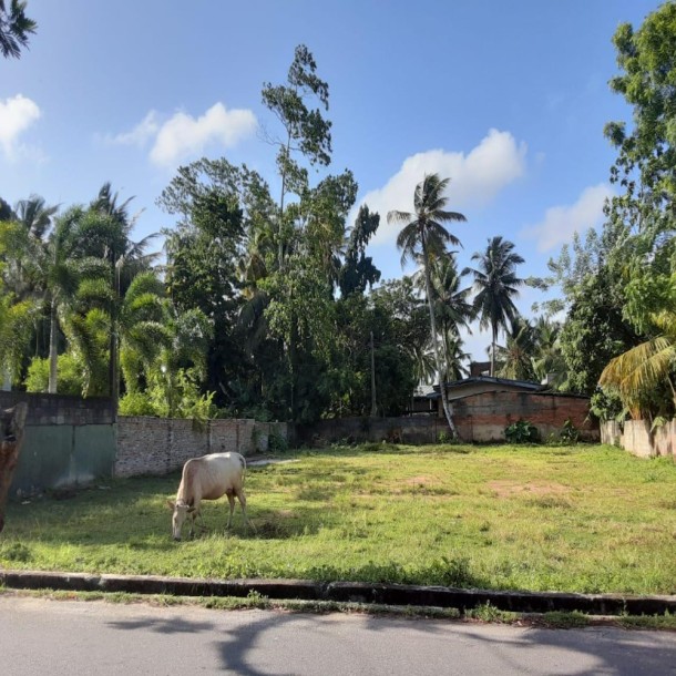 Land for Sale in Galle-1