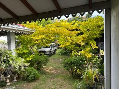 Newly Built House for Sale in Wattala