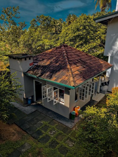 Luxury house with furniture and commercial buildings for sale in Alawwa