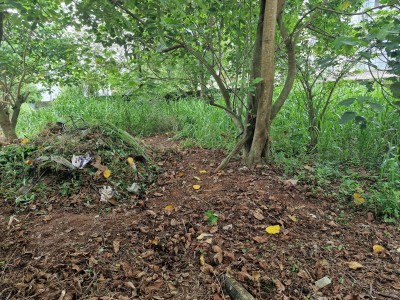 Land for Sale in Thalawathugoda-5