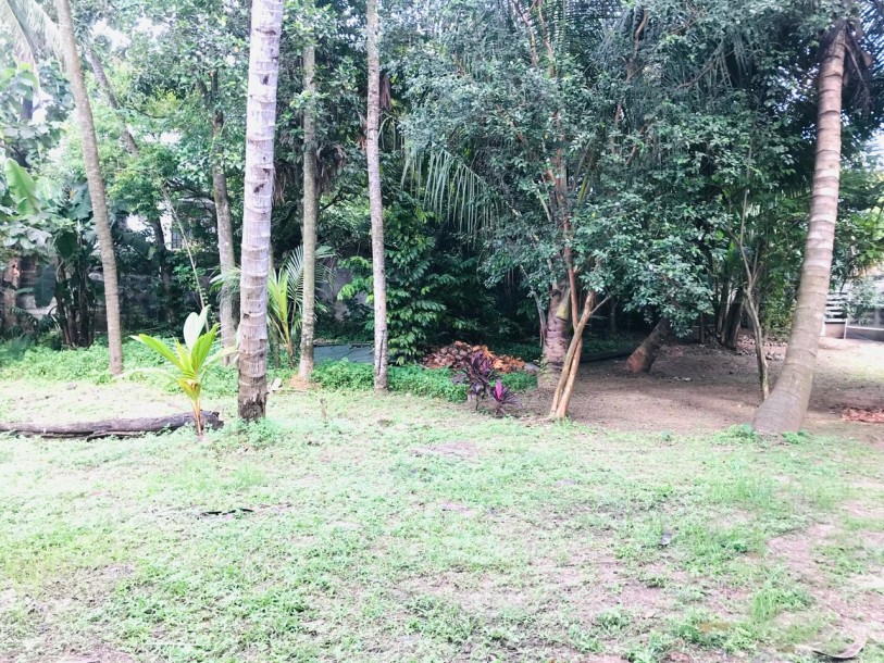 Prime Commercial Land for Rent in Kiribathgoda Town-4