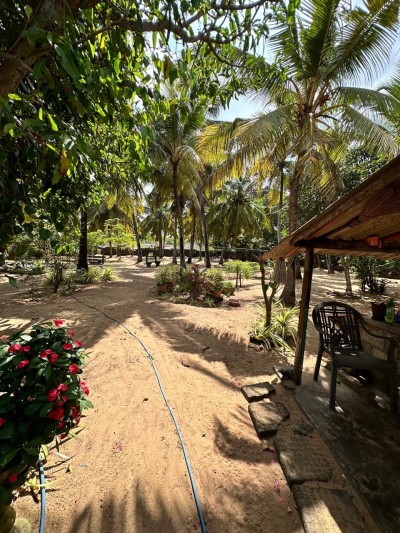 Massive Commercial Land for Sale in Negombo-3